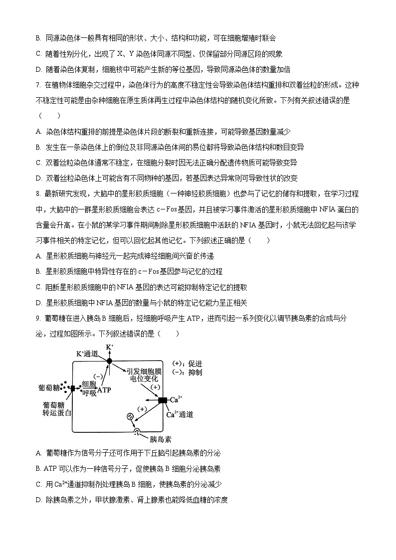 2025届河南省新乡市高三下学期三模生物试题第3页