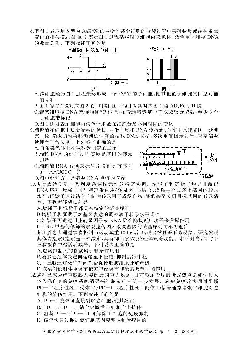 湖北省黄冈中学2025届高三第三次模拟考试生物第3页