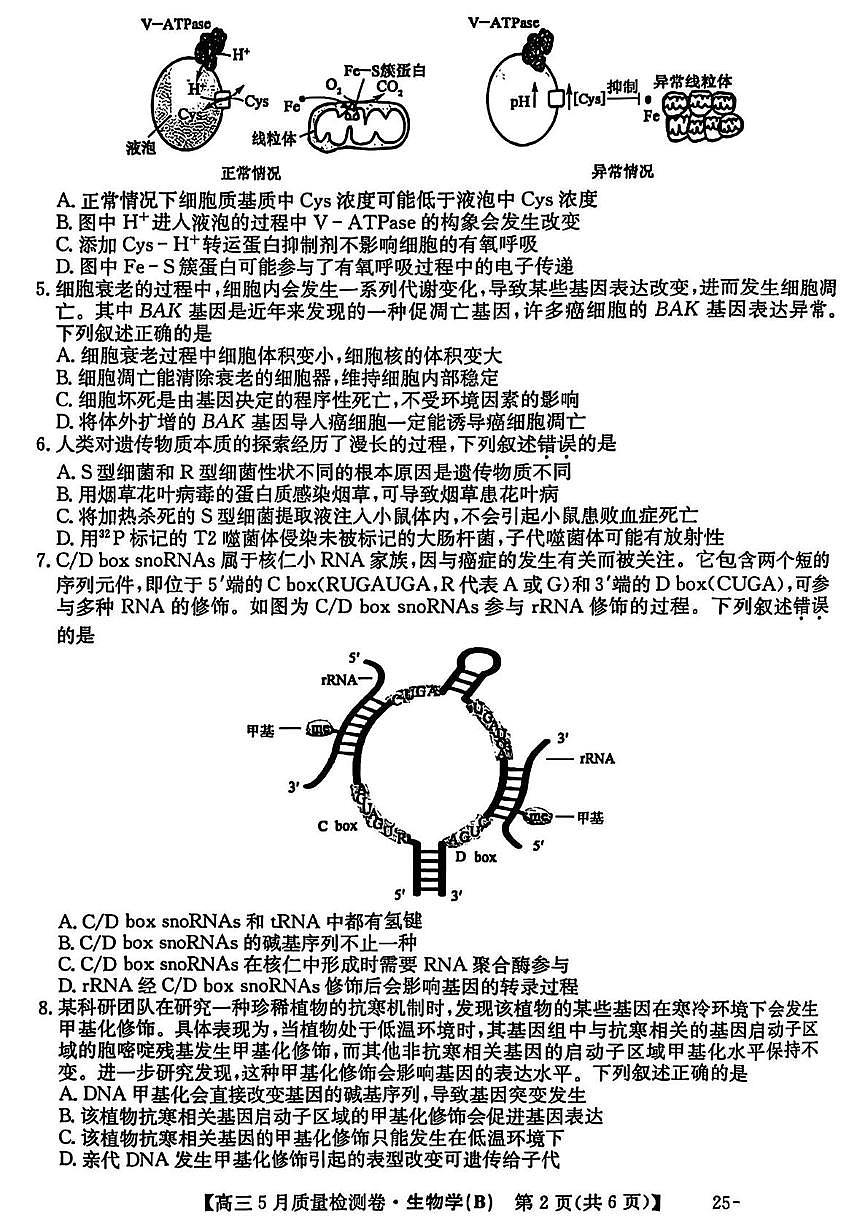 三晋卓越联盟·2024-2025学年高三5月质量检测卷(25-X-635C)生物(B)第2页
