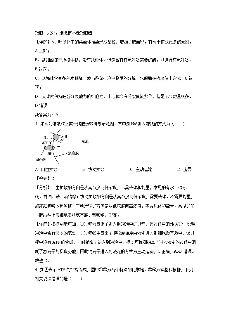 江苏省南通市2023-2024学年高一下学期3月月考生物试卷(解析版)第2页