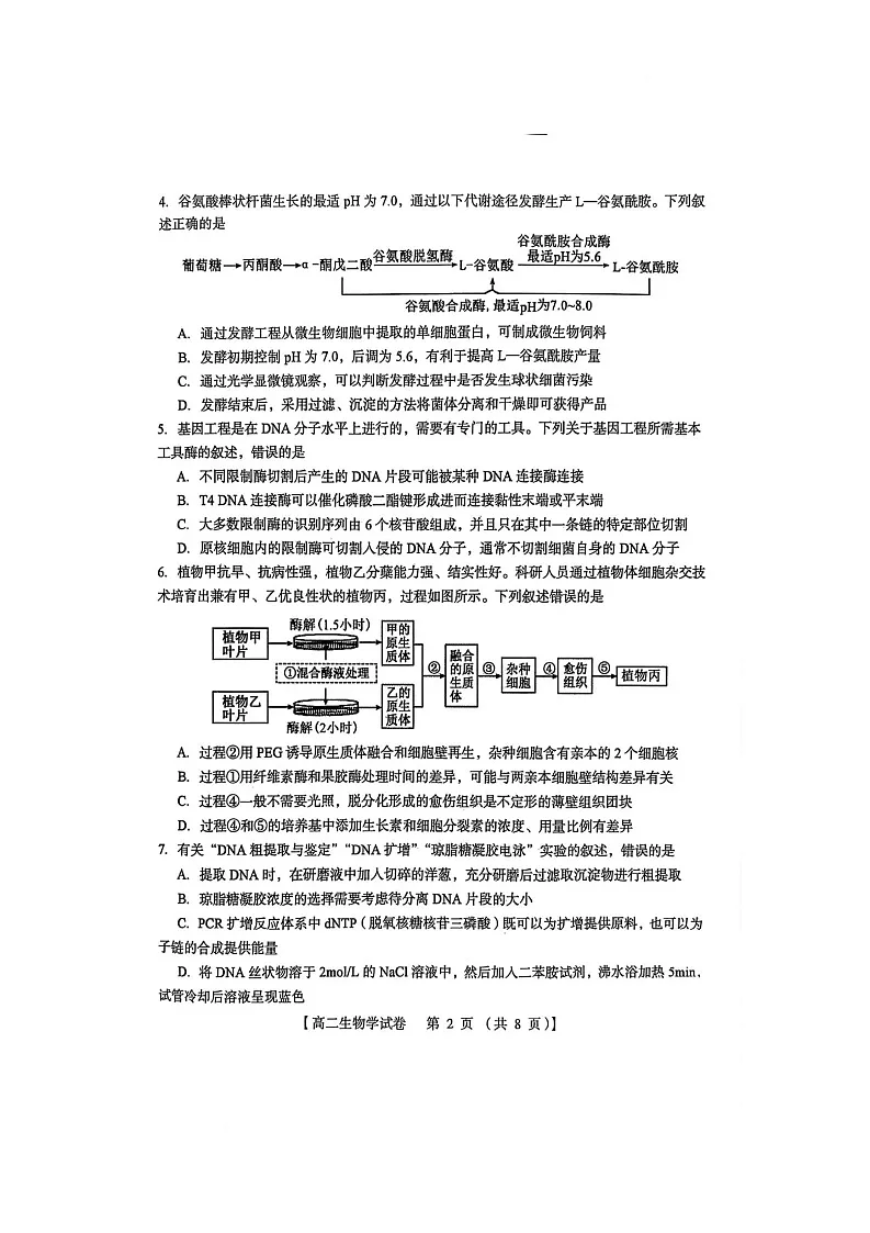 河南省三门峡市2024-2025学年高二下学期5月期末质量检测生物试卷(图片版)第2页