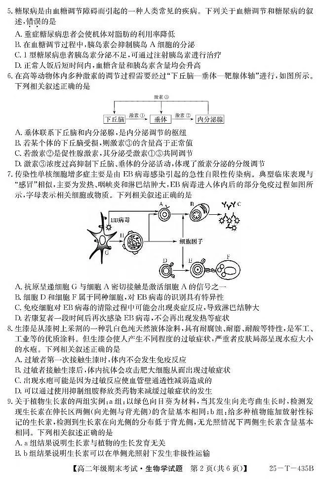 内蒙古兴安盟乌兰浩特第一中学2024-2025学年高二上学期期末生物试卷(扫描版有答案)第2页