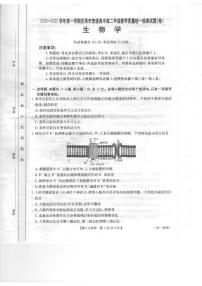 甘肃省定西市八校2024-2025学年高二上学期1月期末考试生物试卷（图片版，无答案）