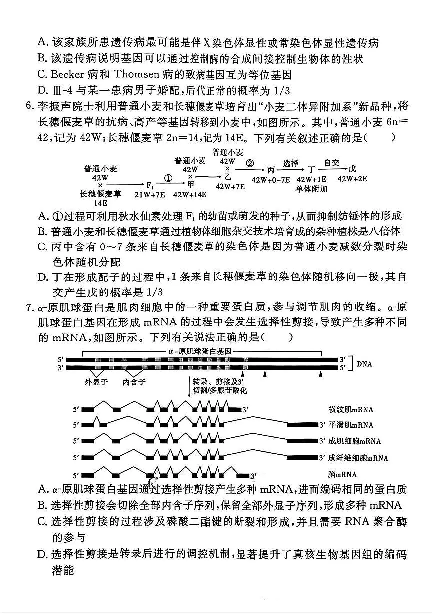 生物-安徽合肥168中学2025届高考模拟最后一卷试题及答案第3页