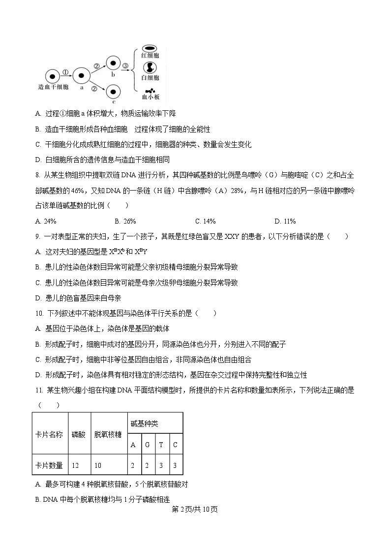 四川省内江市第一中学2024-2025学年高一下学期期中考试生物试题(原卷版)第2页