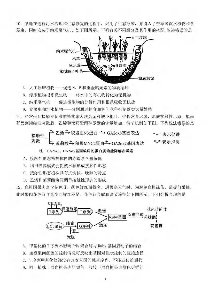 生物丨广东省汕头市2025届高三下学期5月第三次模拟考试试卷及答案第3页