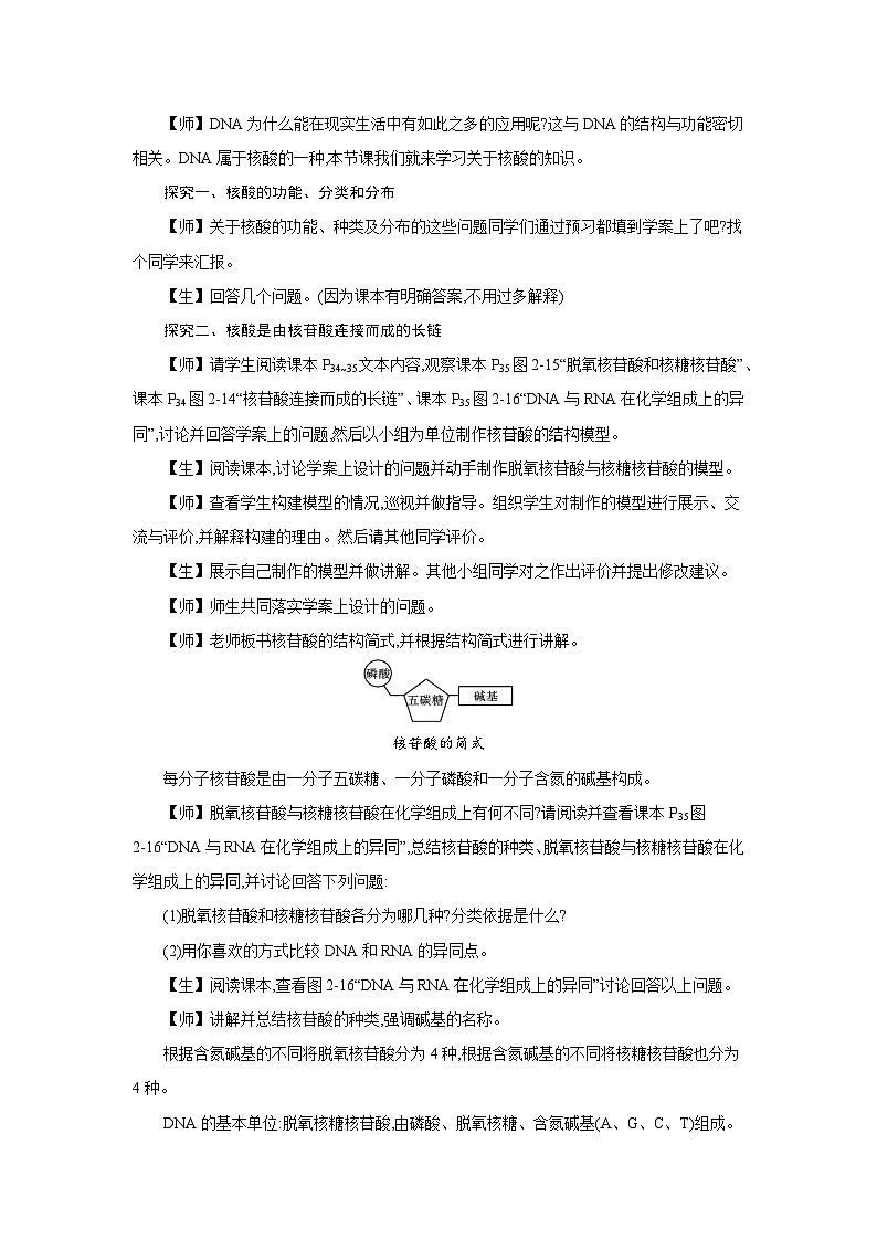 高中生物 第2章 第5节核酸是遗传信息的携带者 教案1第2页