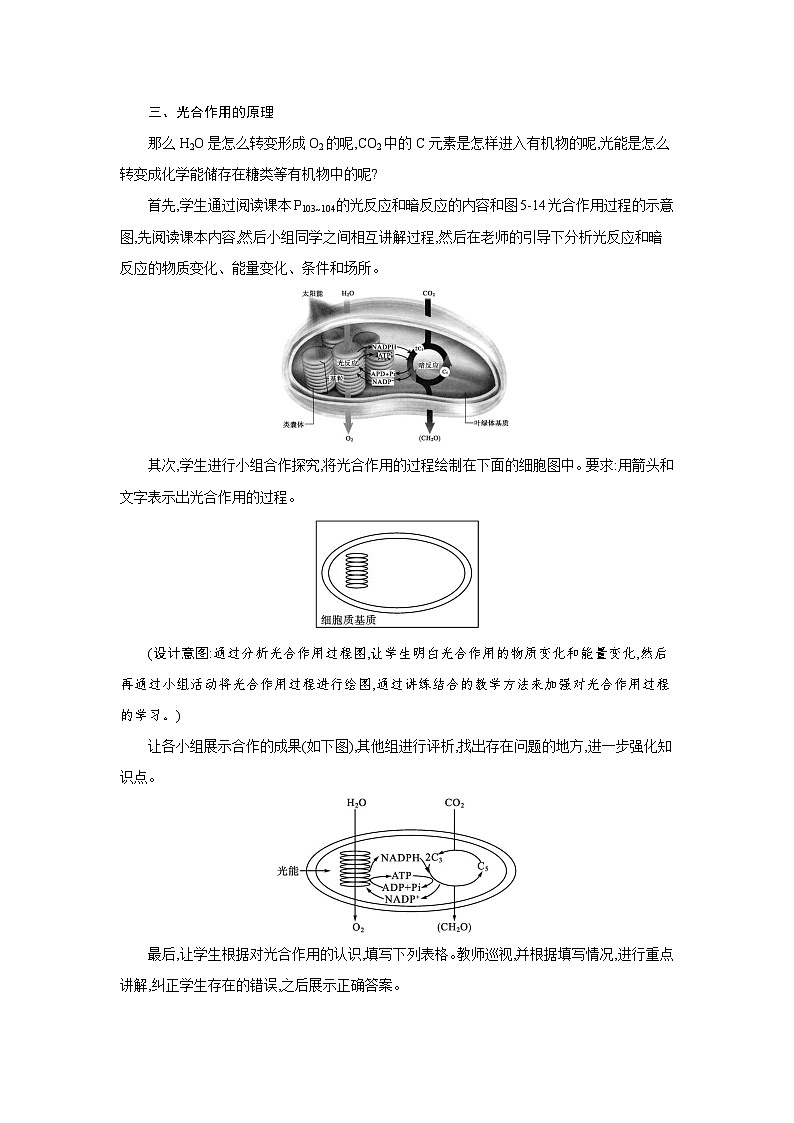 高中生物 第5章 第4节二光合作用的原理和应用 教案2第3页