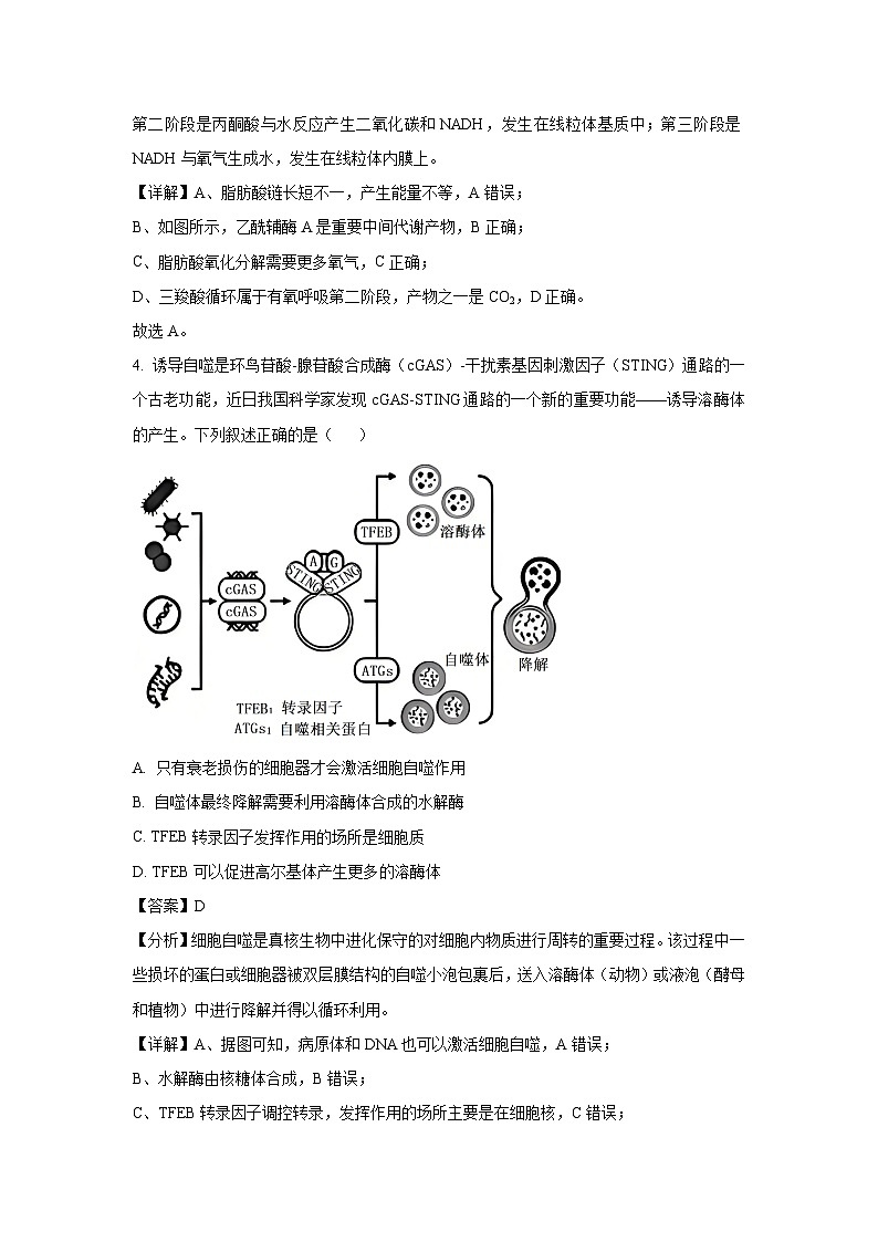 重庆市普通高中学业水平选择性考试2025届高三下学期第二次联合诊断生物试卷(解析版)第3页