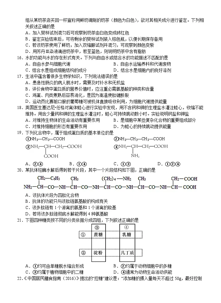 广西壮族自治区南宁市兴宁区南宁市第三中学2024-2025学年高一上学期10月月考生物试题第3页