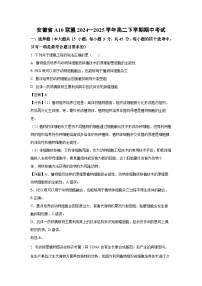 安徽省A10联盟2024—2025学年高二下学期期中考试生物试卷（解析版）