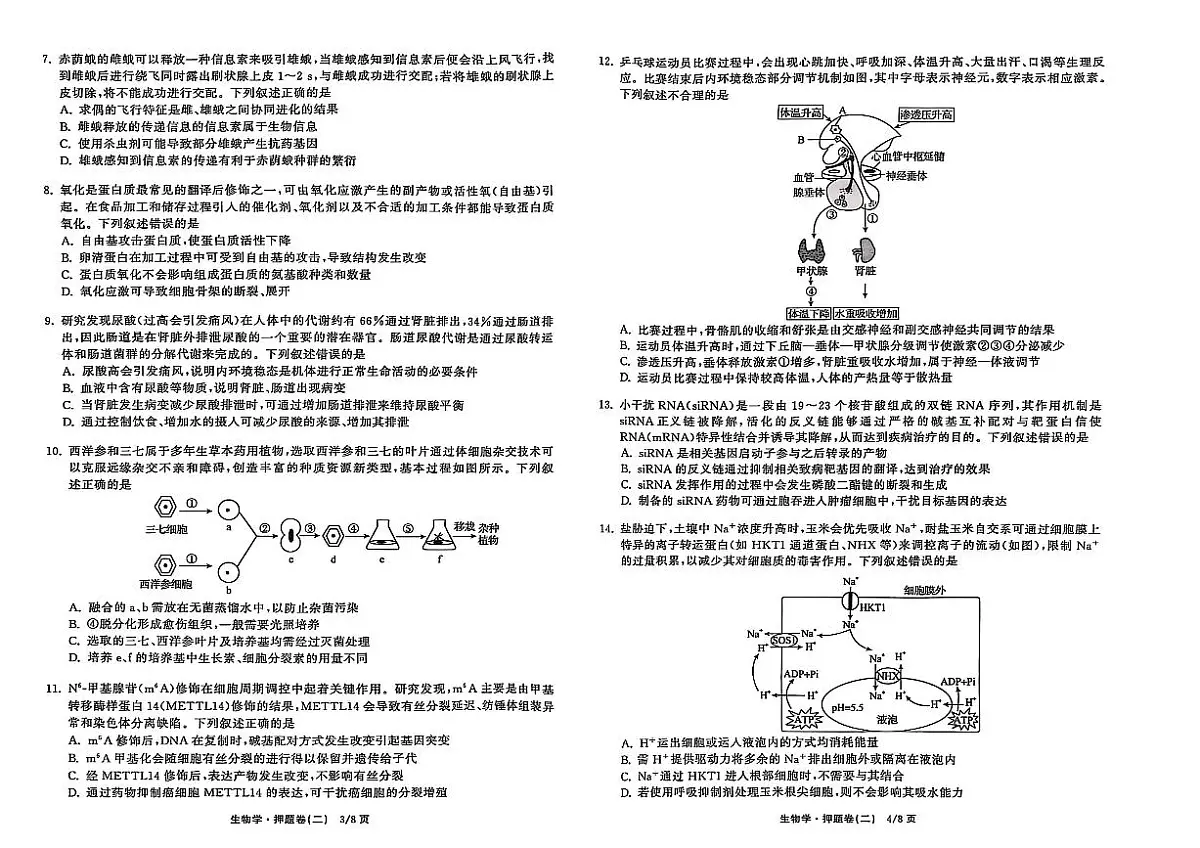 衡中同卷2025年普通高中学业水平选择性考试模拟押题卷(二)生物第2页