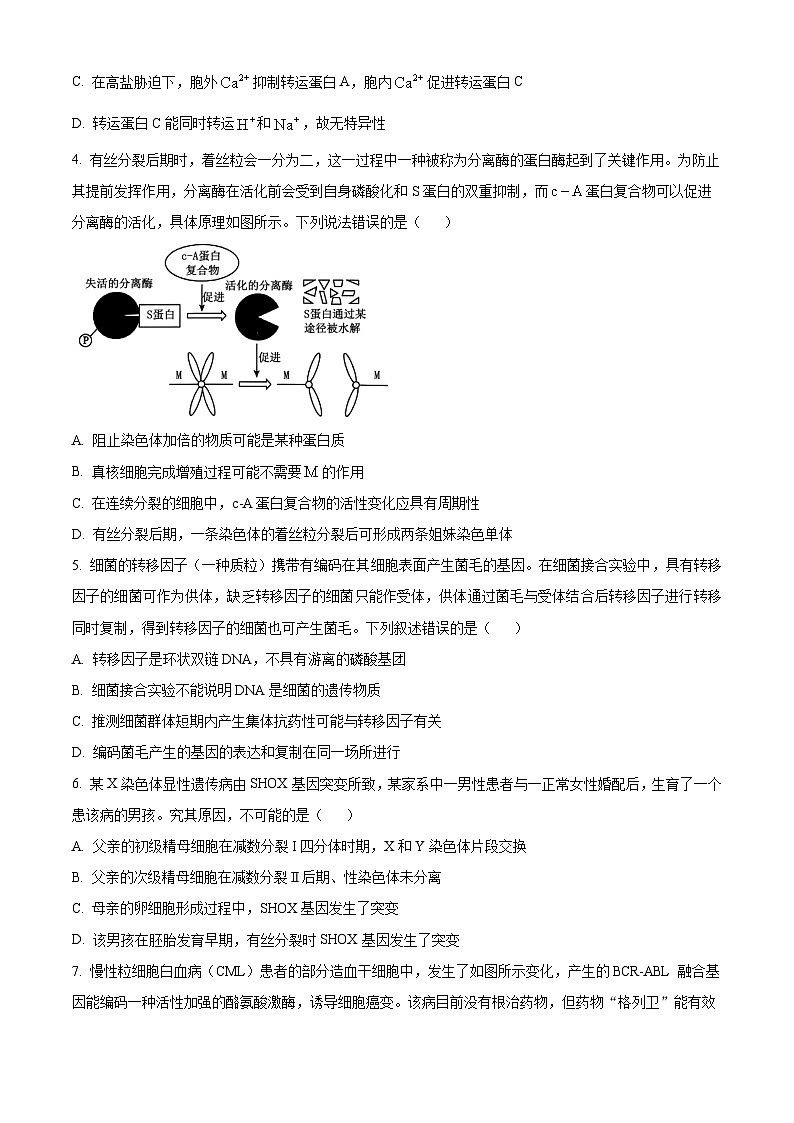 四川师范大学附属中学2025届高三下学期三诊模拟(二)生物第2页