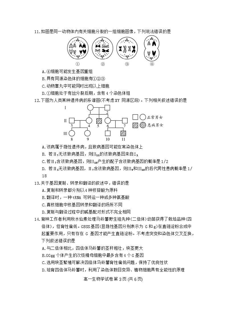 贵州省毕节市2023-2024学年高一下学期期末考试生物试题第3页