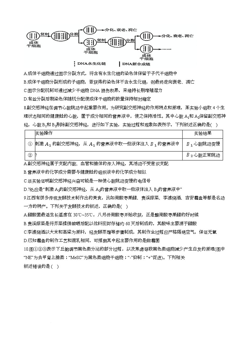 2025届四川省绵阳市涪城区绵阳中学高三下学期适应性考试(一)生物试题第3页