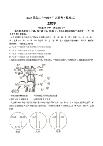 湖南省2025届高三下学期“一起考”大联考三模生物试卷（Word版附答案）