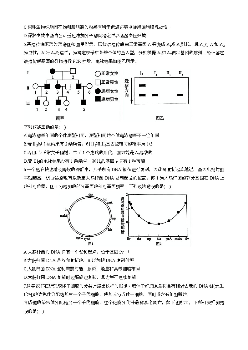 2025届四川省绵阳市涪城区绵阳中学高三下学期适应性考试(一)生物试题第2页
