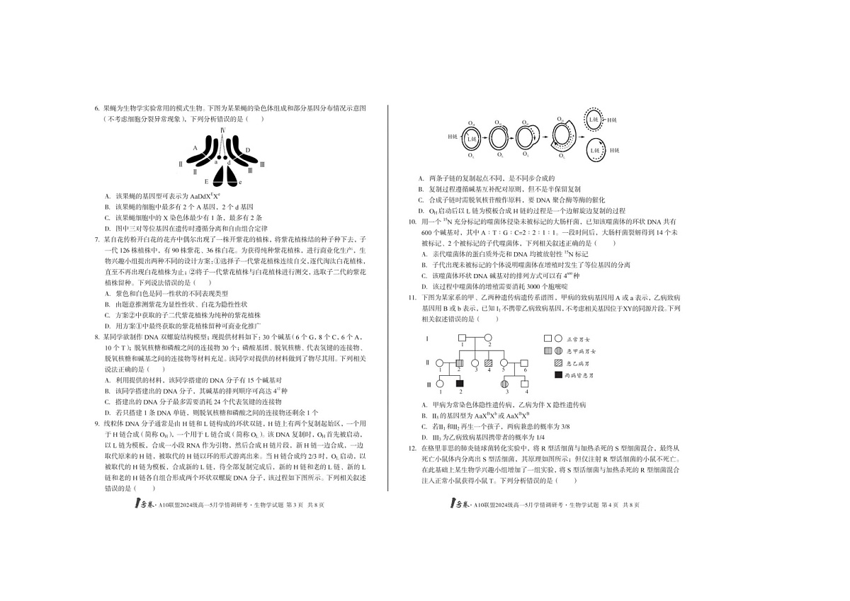 安徽1号卷·A10联盟2024级高一5月学调考生物试卷含答案第2页