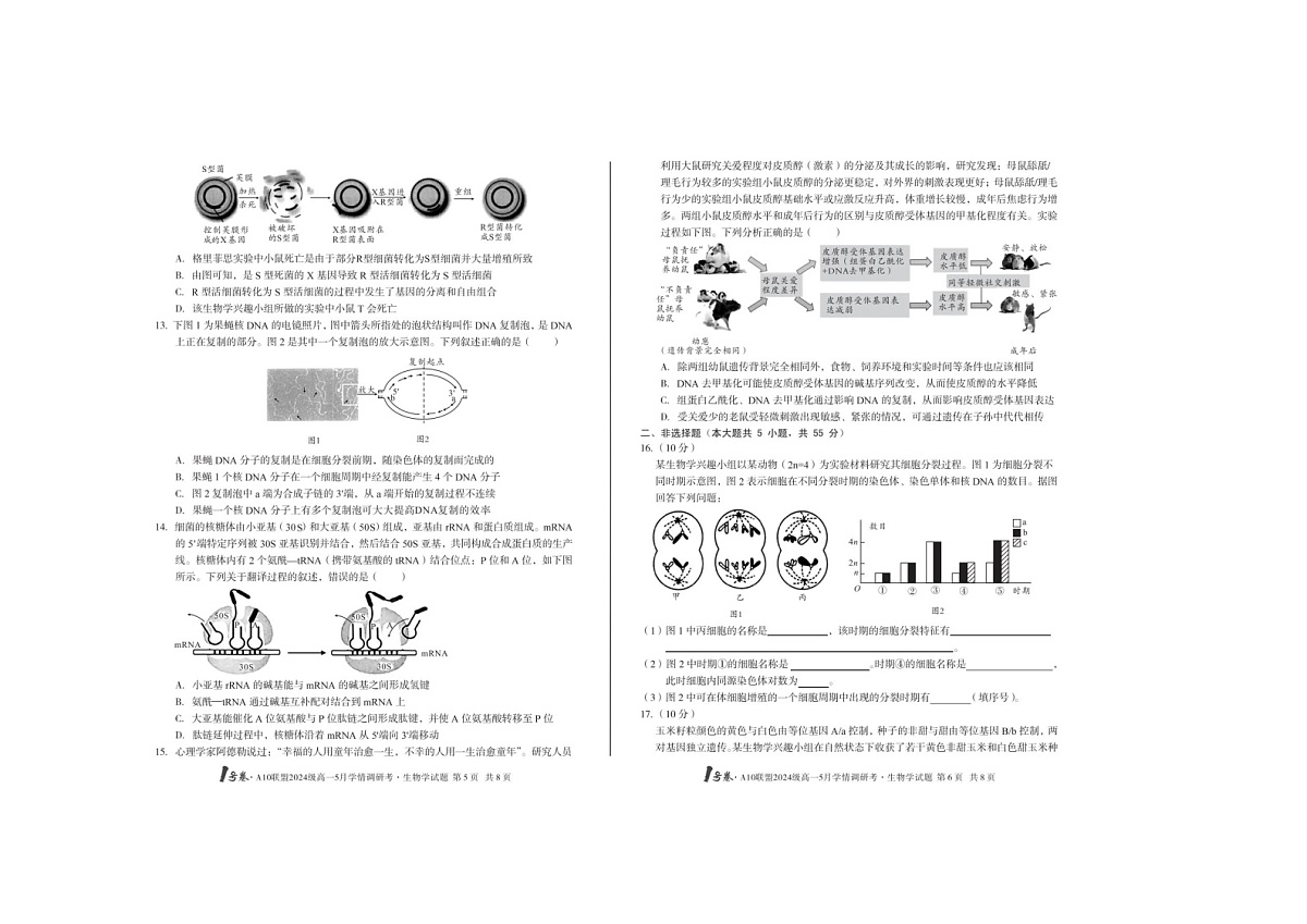 安徽1号卷·A10联盟2024级高一5月学调考生物试卷含答案第3页