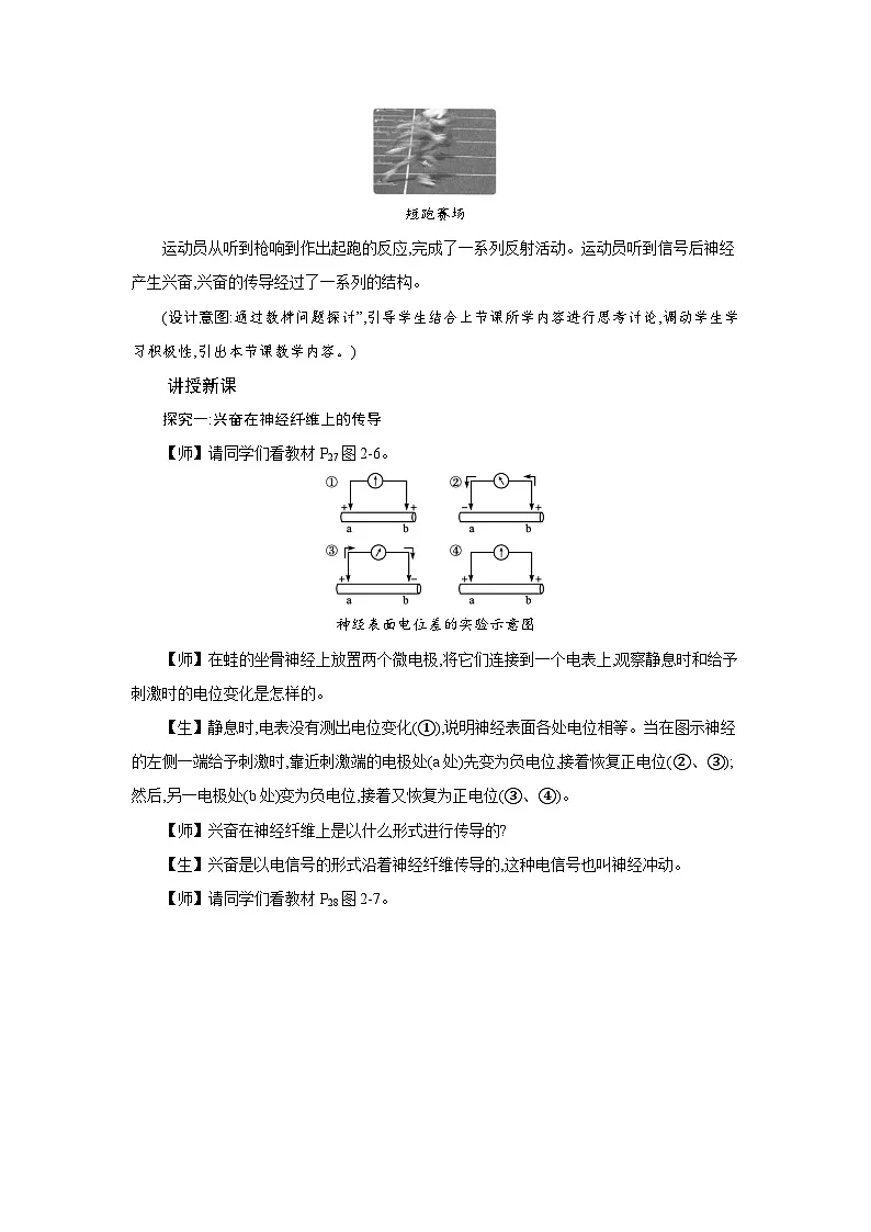 高中生物 第2章 第3节神经冲动的产生和传导 教案1第2页