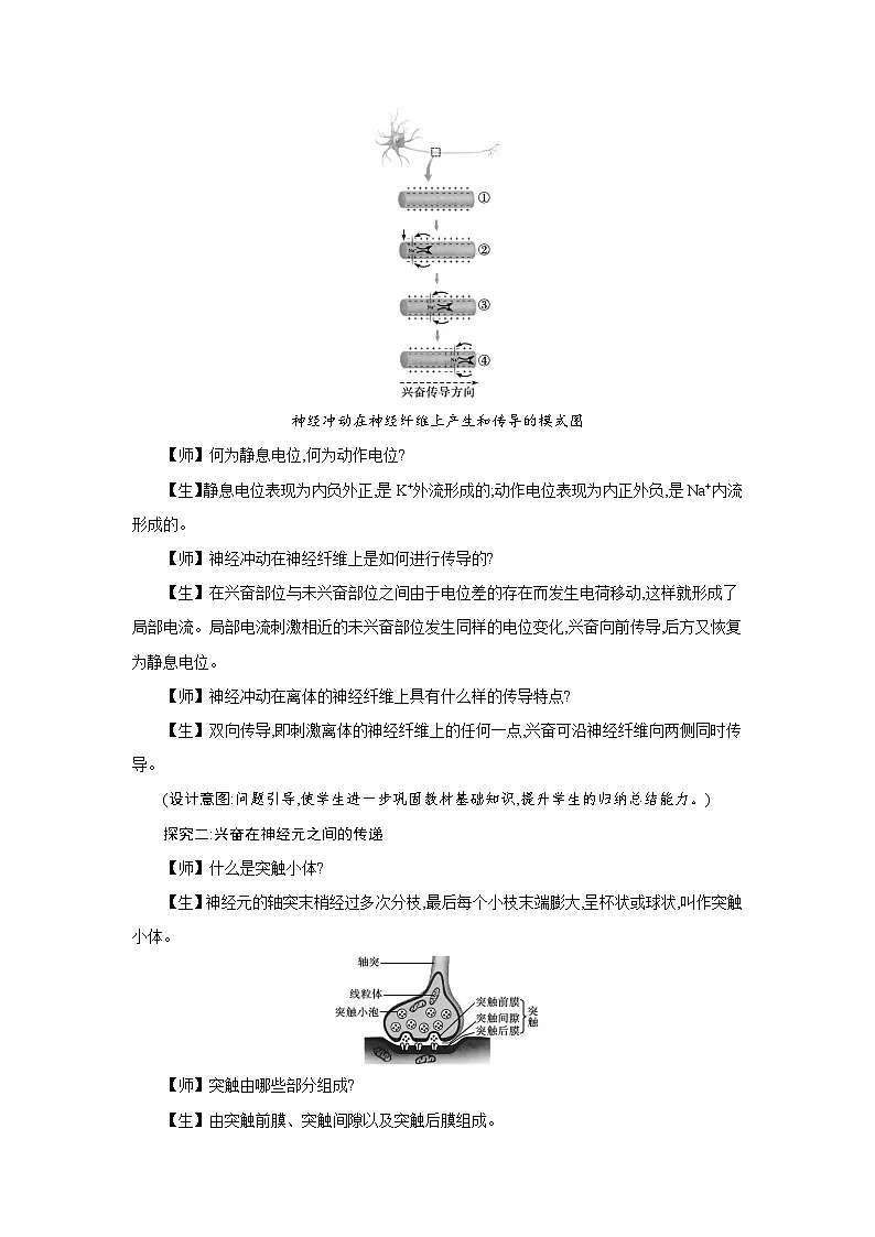 高中生物 第2章 第3节神经冲动的产生和传导 教案1第3页