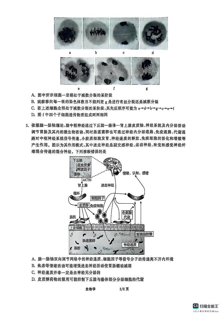 2025届河北省秦皇岛市昌黎第一中学高三下学期考前最后一卷生物学试题(高考模拟)第2页