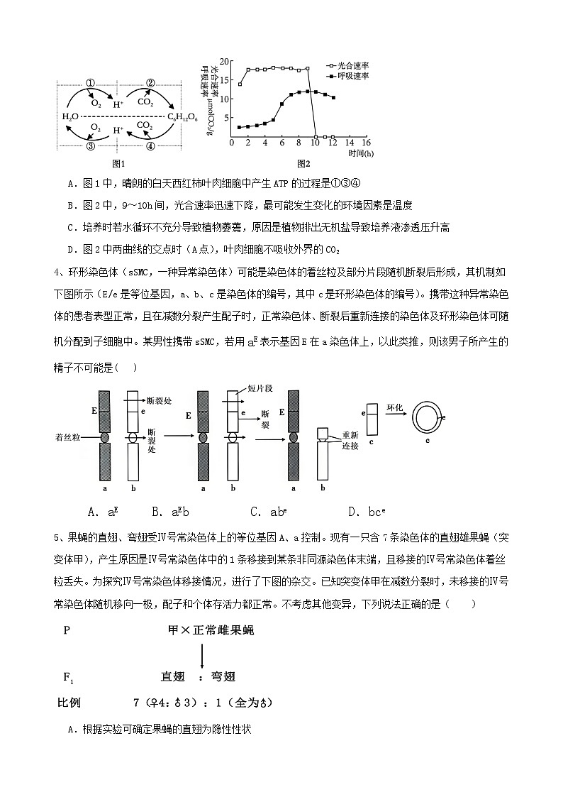 2025届山东省泰安第一中学高三下学期第六次模拟生物试题(高考模拟)第2页