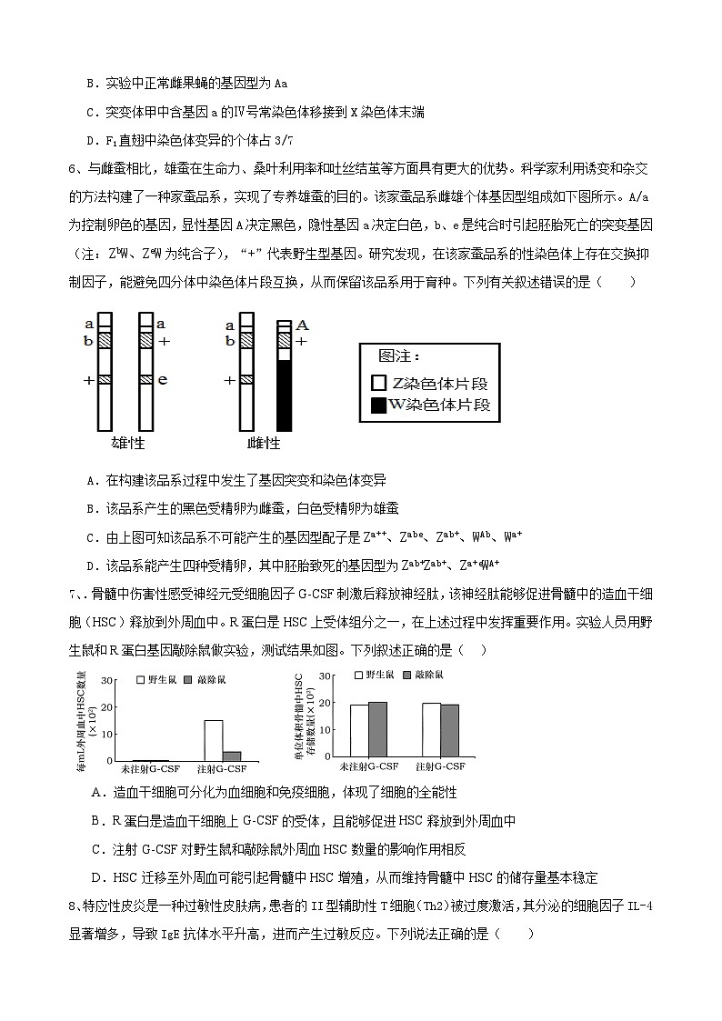 2025届山东省泰安第一中学高三下学期第六次模拟生物试题(高考模拟)第3页
