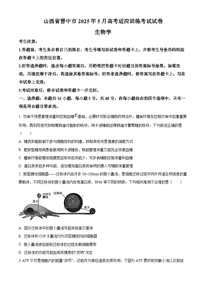 2025届山西省晋中市高三适应训练考试生物学试卷第1页