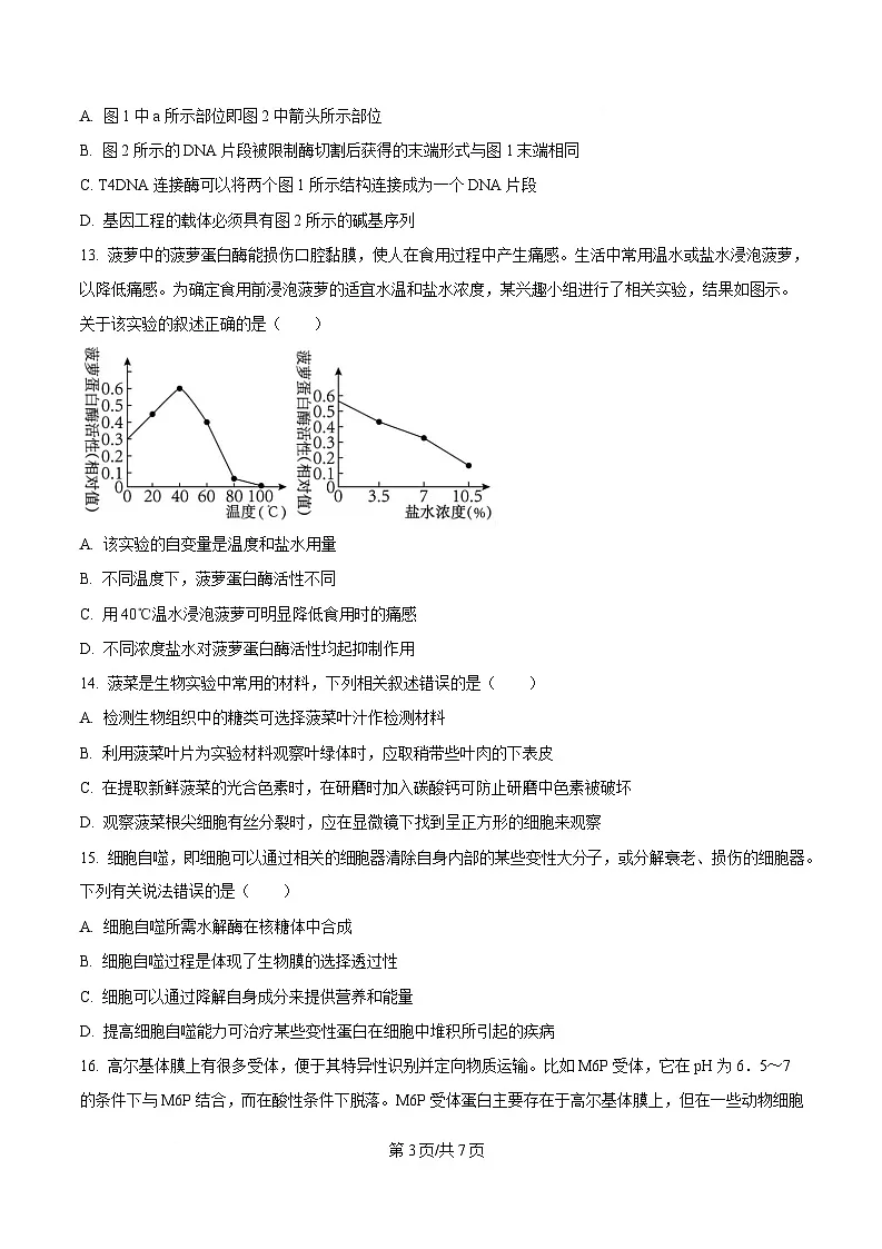 2025届四川省眉山市仁寿县仁寿第一中学(北校区)高三模拟预测生物试题(原卷版)第3页