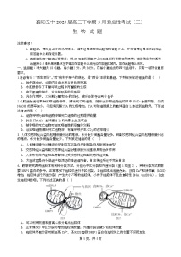 湖北省襄阳市第五中学2025届高三下学期5月适应性考试（三）生物试题（Word版附答案）