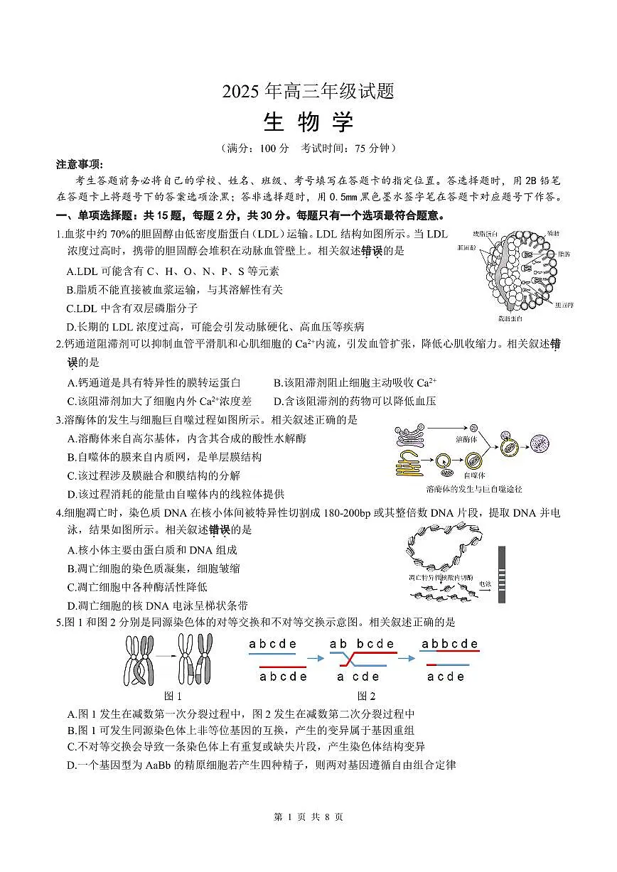 江苏省徐州市2025届高三下学期5月考前打靶生物第1页