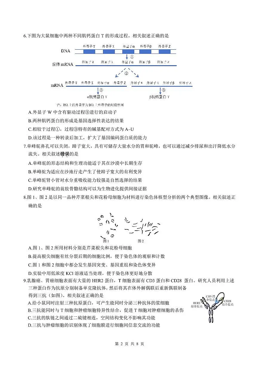 江苏省徐州市2025届高三下学期5月考前打靶生物第2页