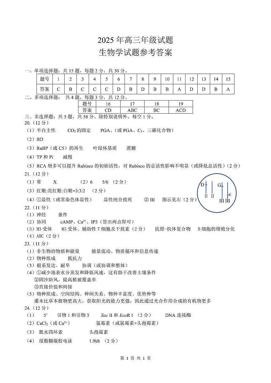江苏省徐州市2025届高三下学期5月考前打靶生物答案第1页