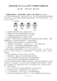 生物丨河南省实验中学2025届高三下学期5月第四次模拟考试试卷及答案