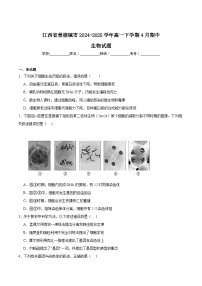 江西省景德镇市2024-2025学年高一下学期期中考试生物试卷（Word版附答案）