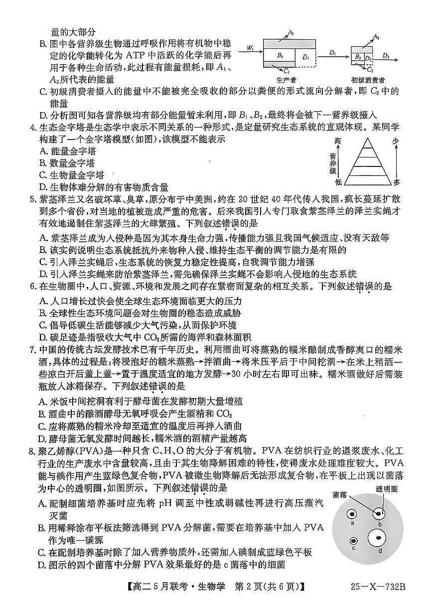安徽省县中联盟2024-2025学年高二下学期5月联考生物试题第2页