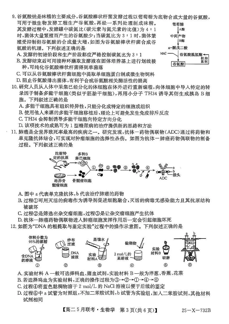 安徽省县中联盟2024-2025学年高二下学期5月联考生物试题第3页