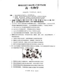 广西柳州市2024-2025学年高一下学期4月联考生物试卷（无答案）含答案解析