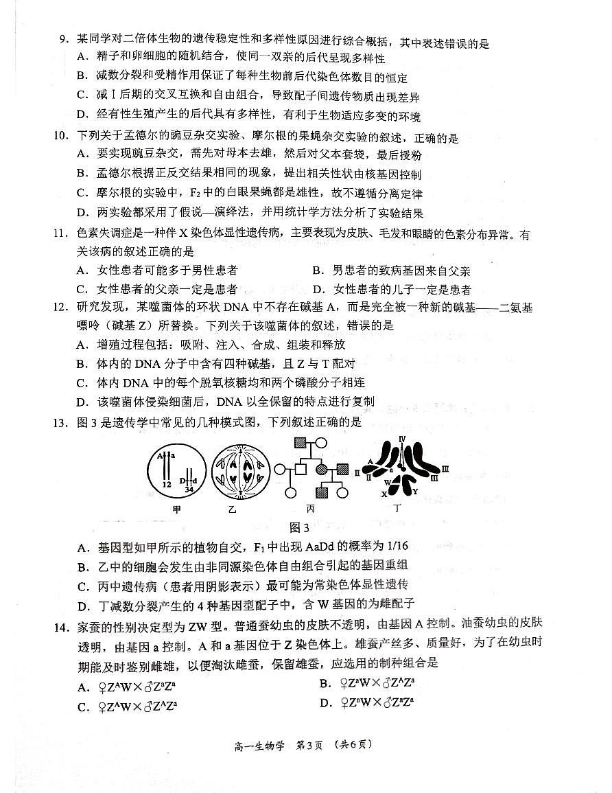 广西柳州市2024-2025学年高一下学期4月联考生物试卷(无答案)第3页