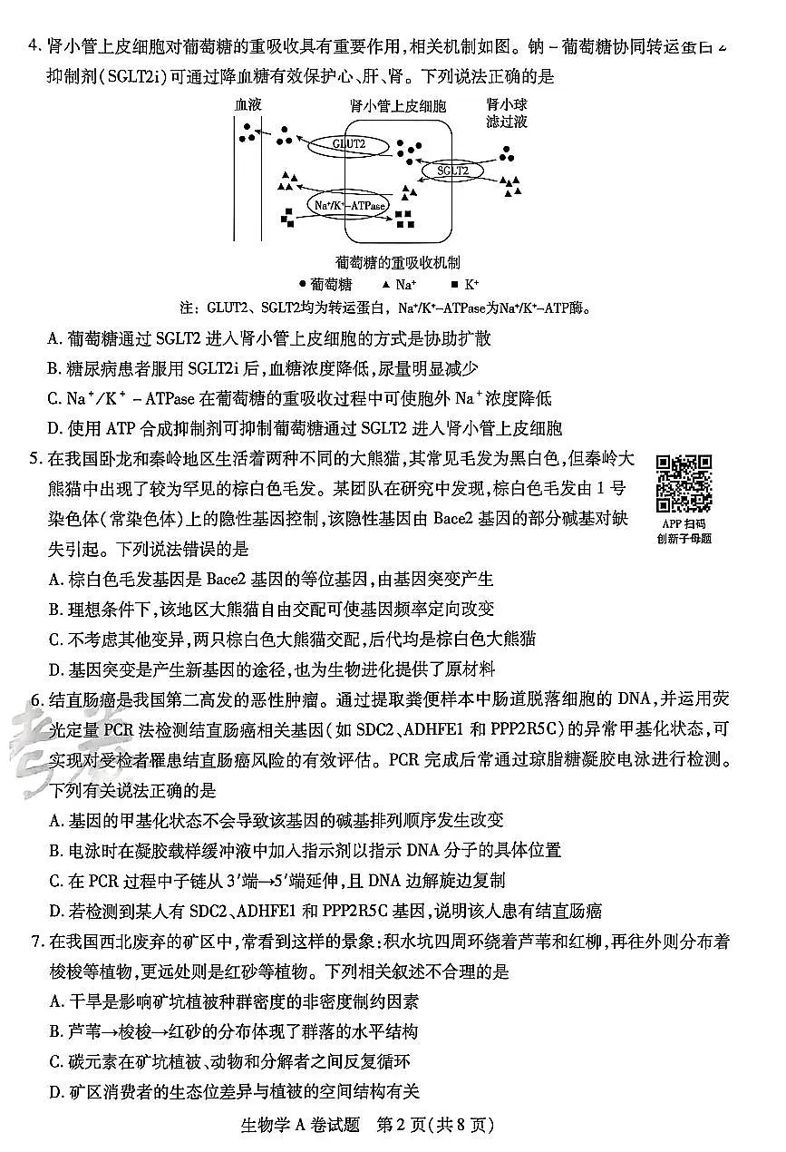 【生物AB卷】天星教育2025高考临考预测押题密卷(四川版)第2页