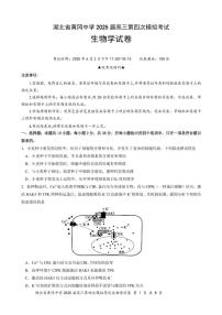 湖北省黄冈中学2025届高三下学期5月第四次模拟考试生物试题（扫描版附答案）