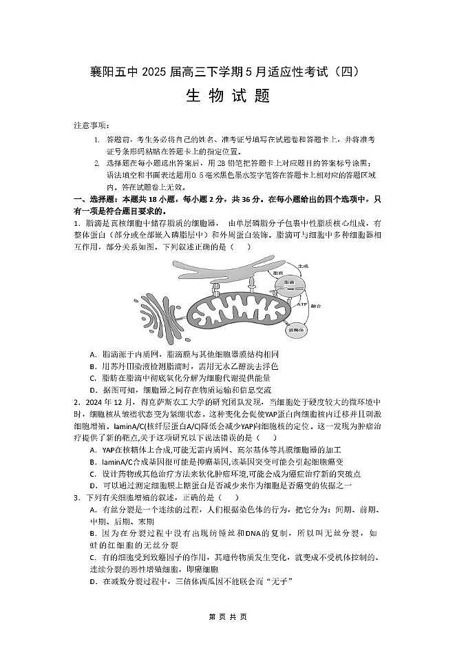 2025届湖北省襄阳市第五中学高三下学期5月适应性考试(四)生物试卷第1页
