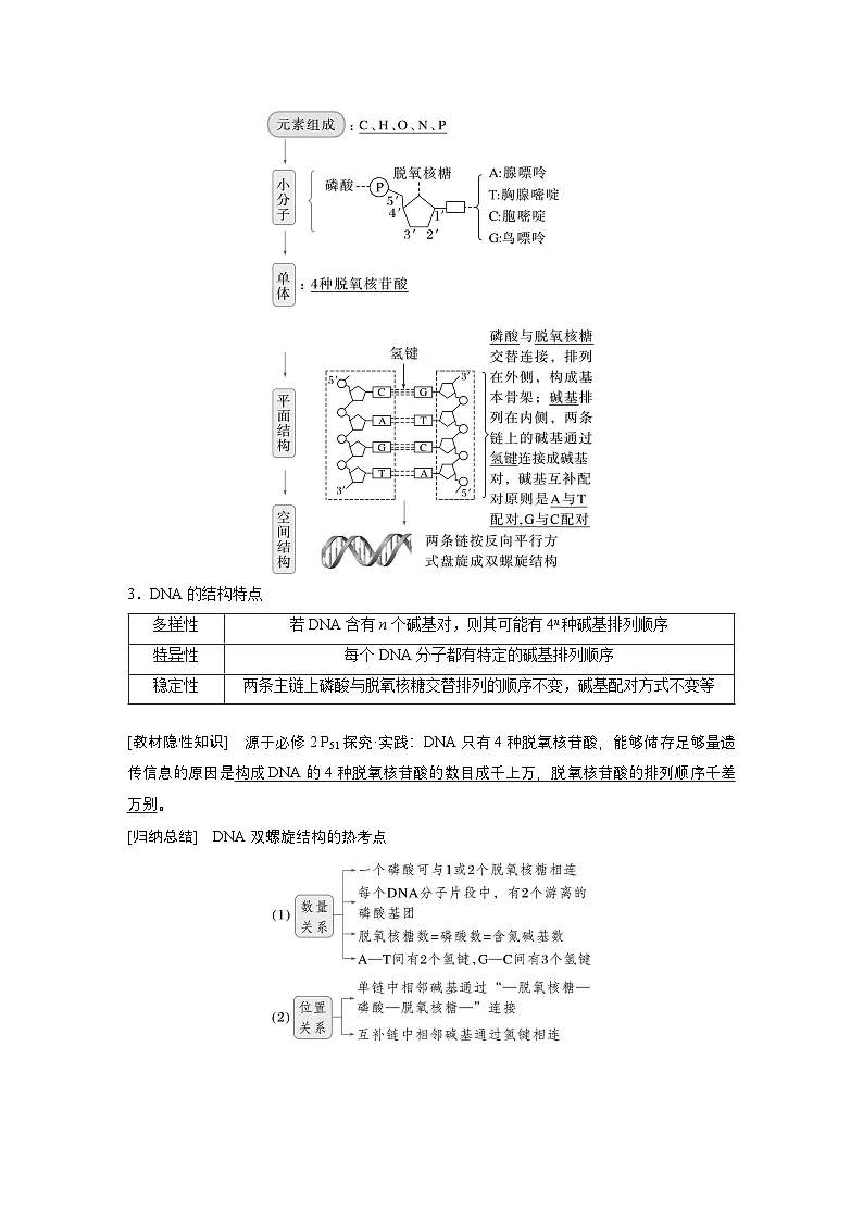 第六单元 第26课时 DNA的结构、复制和基因的本质(教师版)第2页
