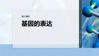 第六单元　第27课时　基因的表达-2026年高考生物大一轮复习课件（含试题及答案）