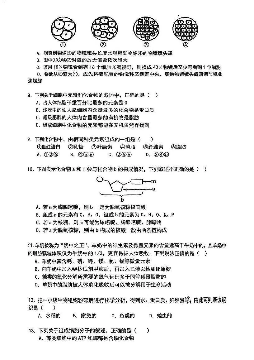 天津市大港三中2024-2025学年高二下学期第二次月考生物试卷第2页