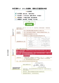 高考生物一轮复习知识清单15 DNA的结构、复制以及基因的本质（3大考点 4个易错点）