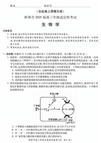 2025届安徽省蚌埠市高三下学期适应性考试生物试卷（高考模拟）