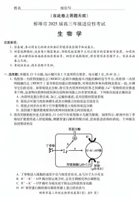 2025届安徽省蚌埠市高三下学期适应性考试生物试卷(高考模拟)