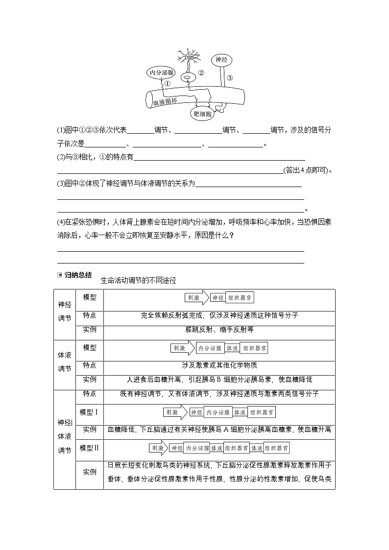 第八单元 第37课时 体液调节与神经调节的关系第3页